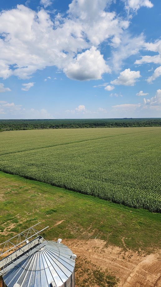 secante, lubricante y agente antiestático para semillas mejorar produccion del campo Colombia Meta Casanare Valle del Cauca Tolima Huila Cesar Cordoba Antioquia Maiz Soya Arroz